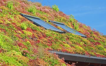 Ebblake living roof systems